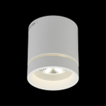 Накладной светодиодный светильник Aployt Gita APL.0044.09.05