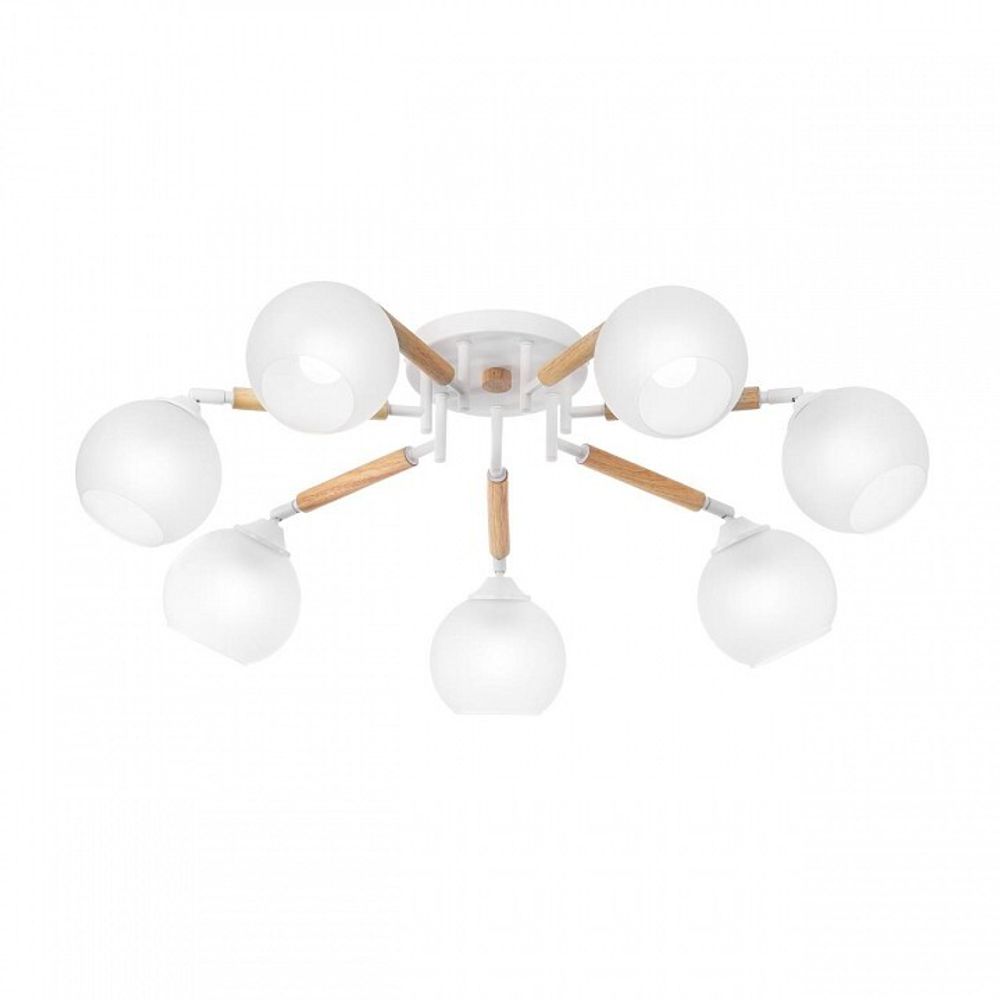 Потолочная люстра Citilux Tika CL133170