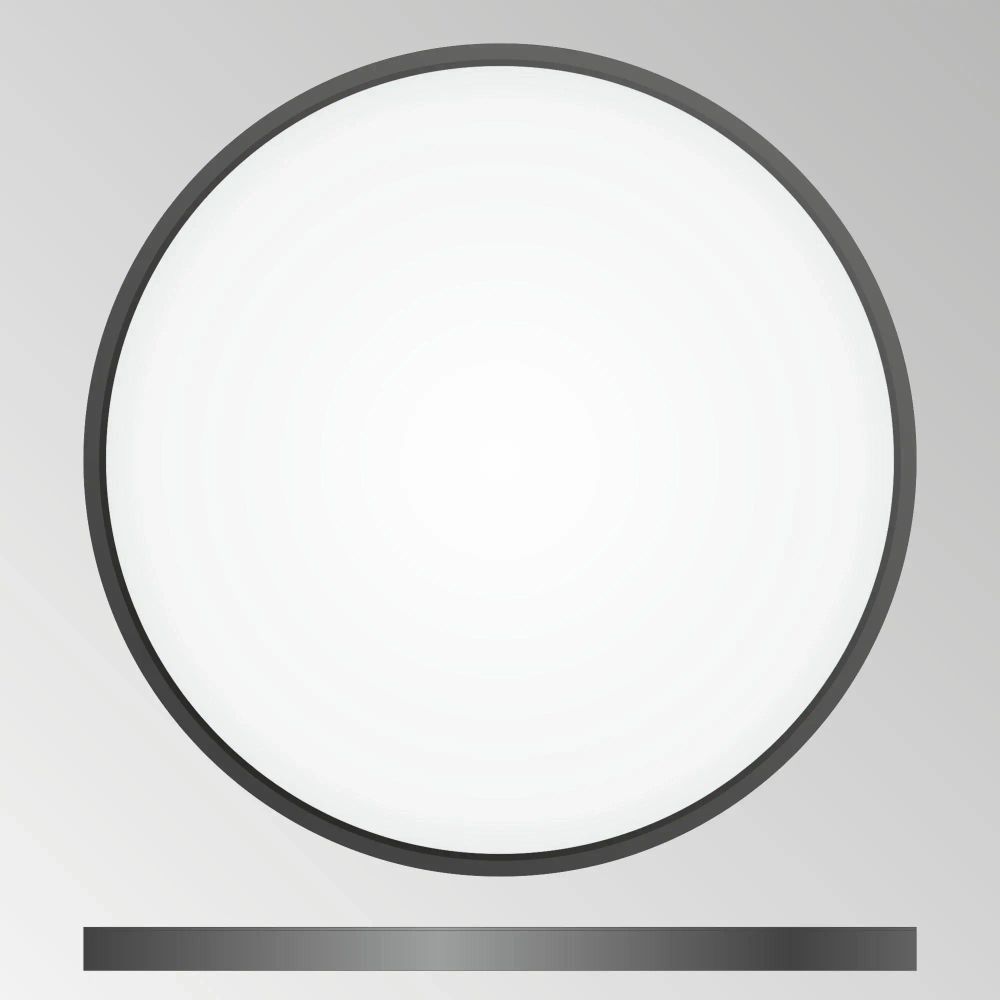 Citilux Бейсик CL738401V Светильник накладной Чёрный