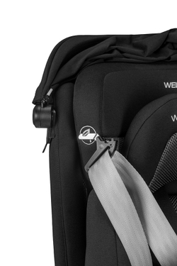 Welldon Автокресло smart rotate 2 pro+ 0-25 iSize 40-125см (Ebony)