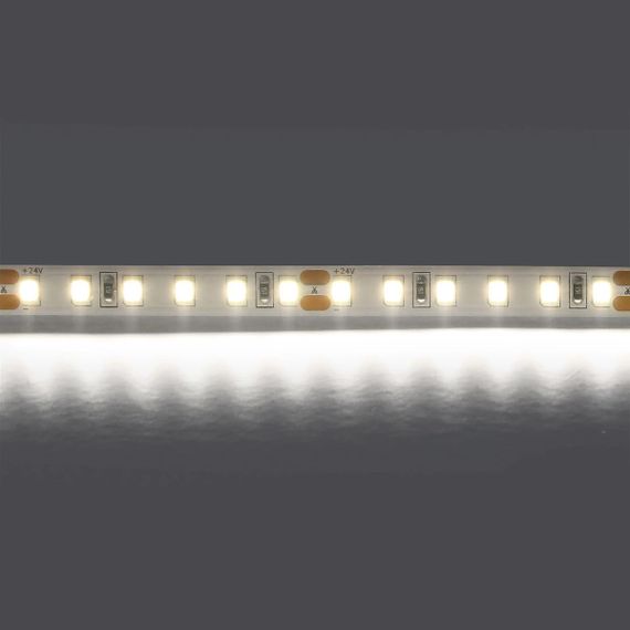 Светодиодная лента Lightstar 12W/m 120LED/m холодный белый 5M 420805
