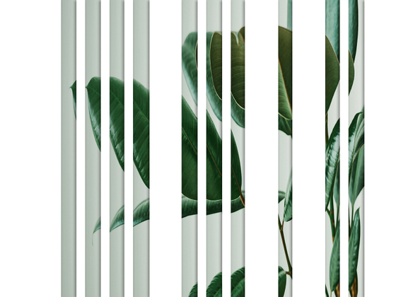 Коллекция GREENDAY 22