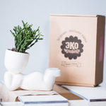 Набор для выращивания eco Мечтатель