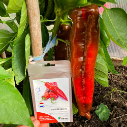 Перец сладкий Палермо F1