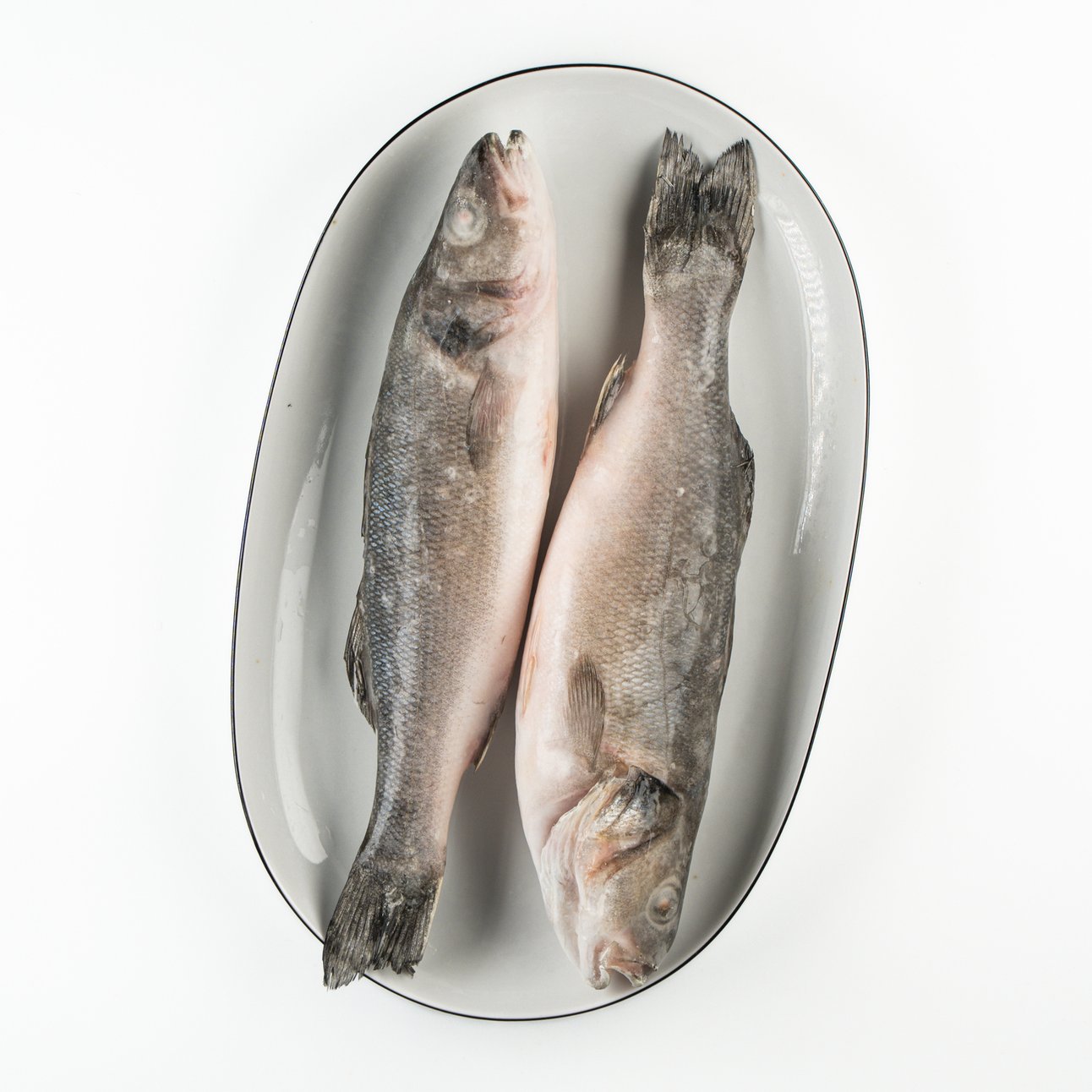 Сибас, 300/400, с/м