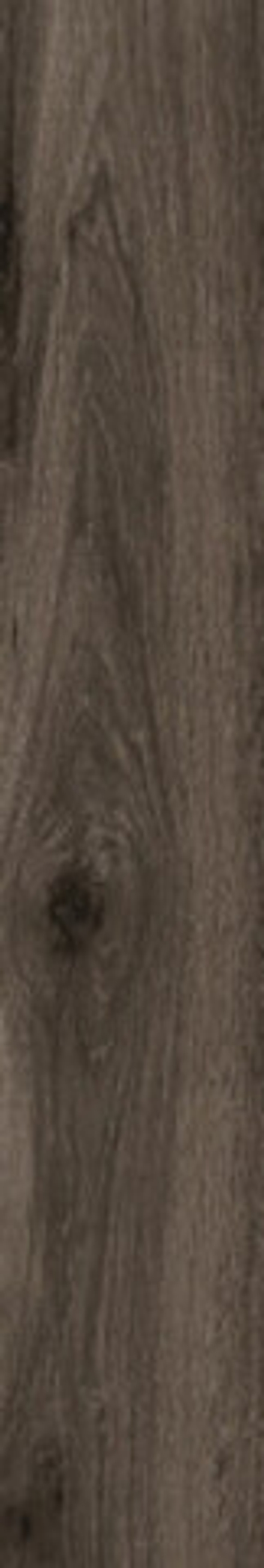 Керамогранит BASE FOREST WENGUE Matt 120