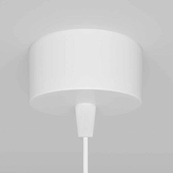 Подвесной светильник Maytoni Technical Focus P075PL-01W