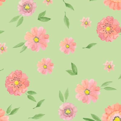 Розовые цветы (маргаритки) на зеленом фоне