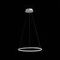 Подвесной светодиодный светильник ST Luce Erto SL904.503.01