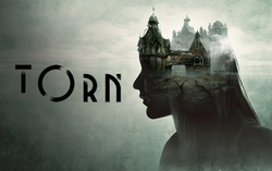 Torn (для ПК, цифровой код доступа)