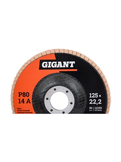 Круг лепестковый торцевой 125x22,2 10 шт Gigant GRF-80-10