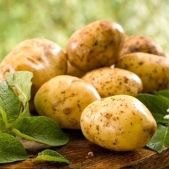 Картофель свежий (Азербайджан) / 30 кг