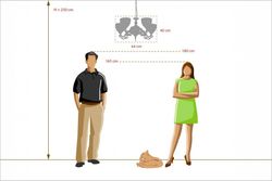 Подвесная люстра MW-Light Ариадна 22 450016805