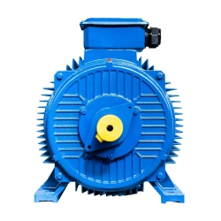 Электродвигатель 5АИ 280 S2 110/3000 IM1001