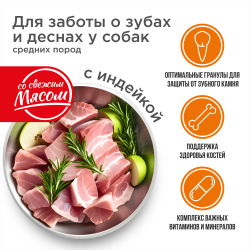 Корм сухой для взрослых собак средних пород, премиум полнорационный комплекс, забота о зубах и деснах, с индейкой, 12 кг, QUATTRO