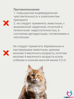 Робенекс 6 мг таблетки противовоспалительные и обезболивающие для кошек, 10 таб