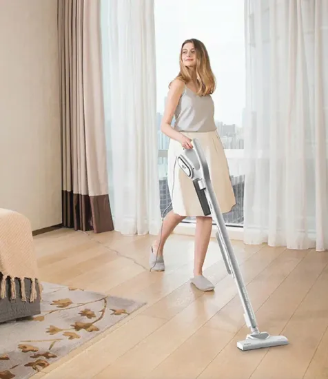 Вертикальный пылесос Xiaomi Deerma Vacuum Cleaner DX700, белый