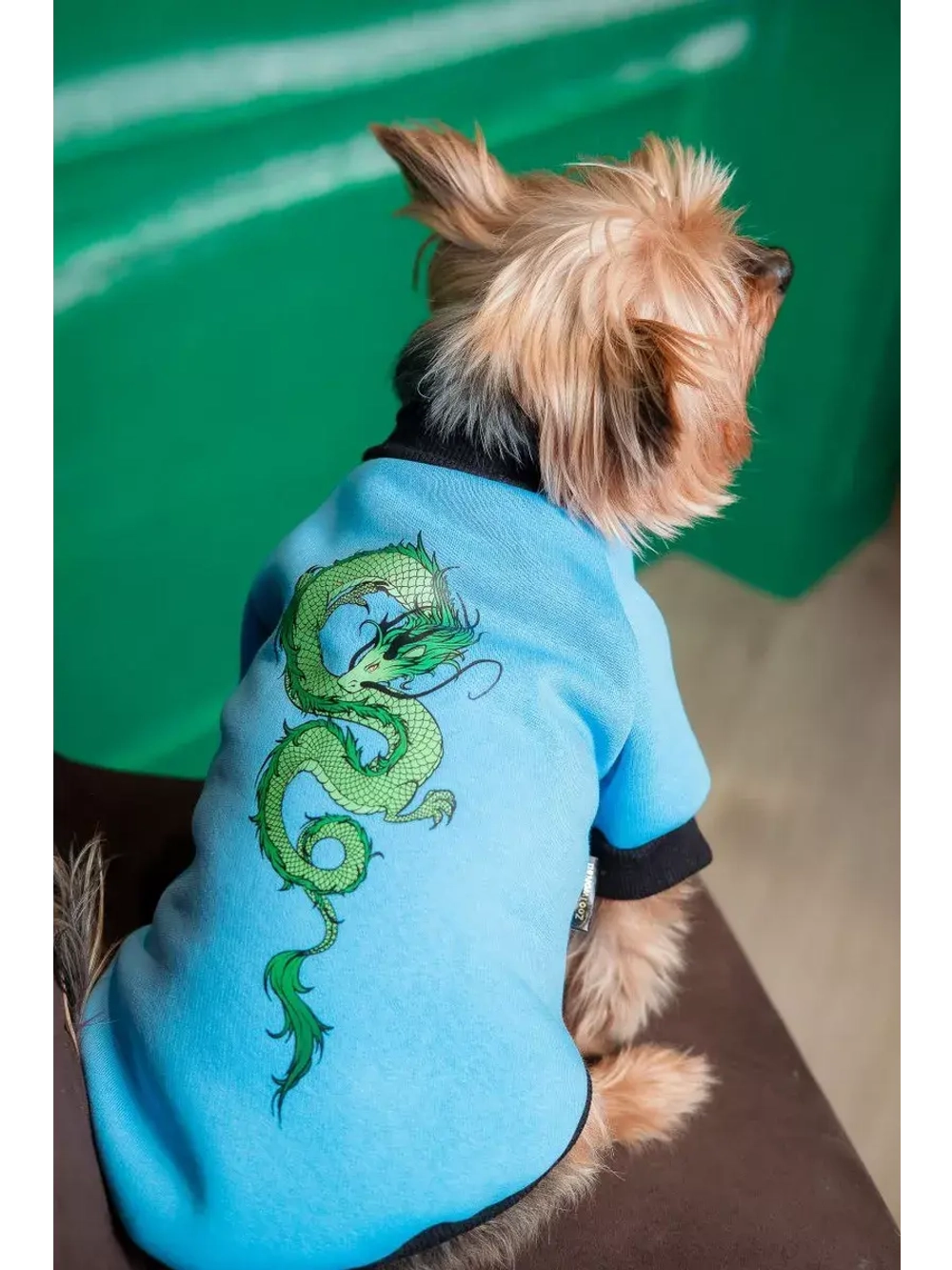 Толстовка для собак и кошек