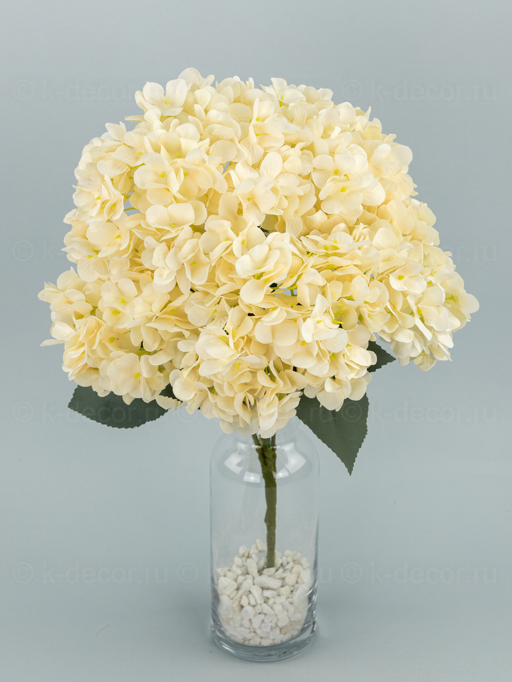 Букет гортензия Садовая