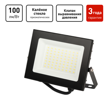 Прожектор светодиодный уличный ЭРА PRO LPR-062-0-65K-050 50Вт 6500К 5000лм IP65 призма