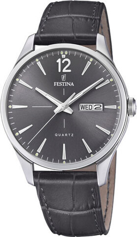 Мужские наручные часы Festina F20205/2
