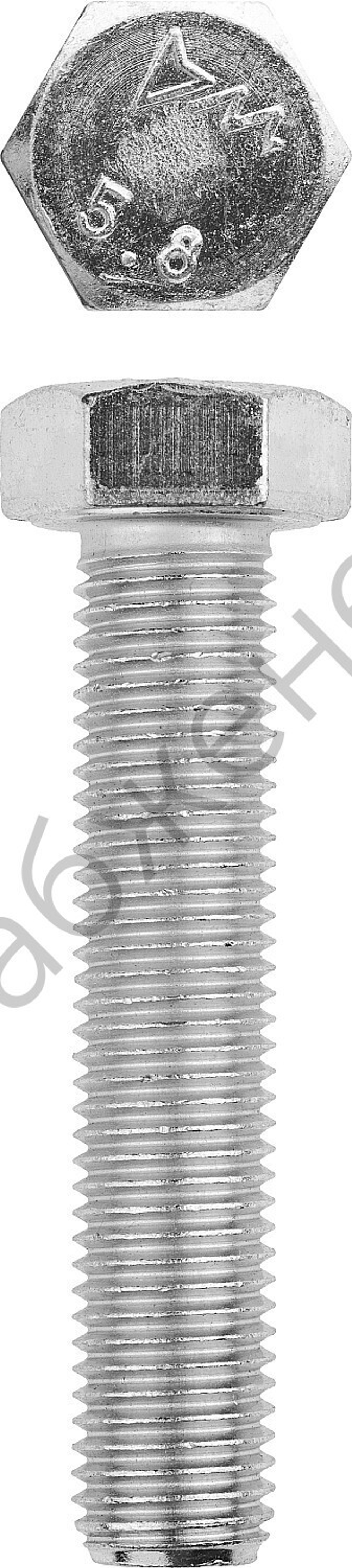 ЗУБР ГОСТ 7798-70 кл. пр. 5.8, M16 x 70 мм, болт оцинкованный, 5 кг (303080-16-070)