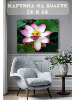 Картина на стену 40 X 50 Лотос