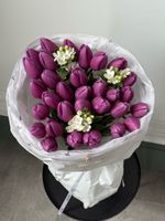 Букет из 31 фиолетового тюльпана и белого оксипеталума
