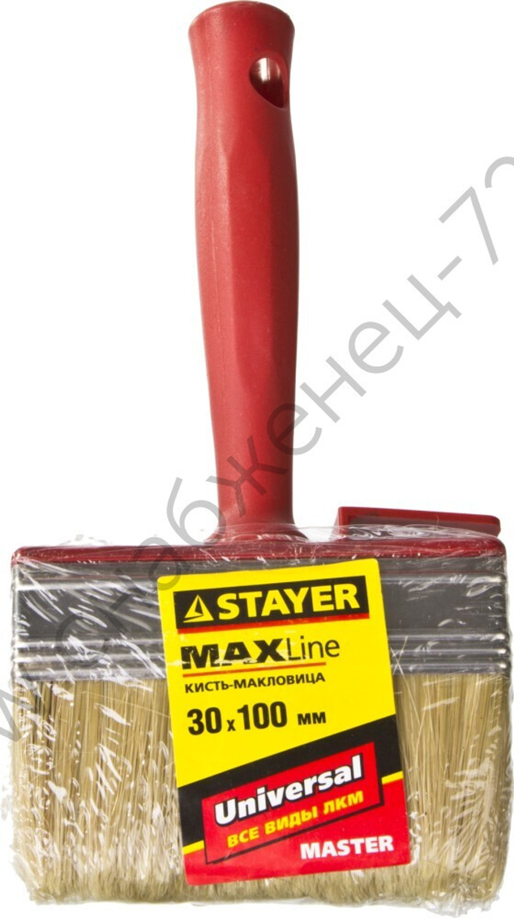 STAYER UNIVERSAL 3х10 см, светлая щетина, пластмассовый корпус, Макловица, MASTER (01824-10)