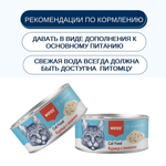 Wanpy Cat Консервы для кошек "Курица с лососем" 95 г
