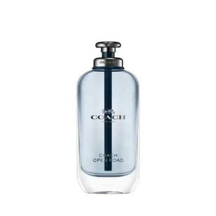 Мужская парфюмерия Coach EDT Open Road 100 мл