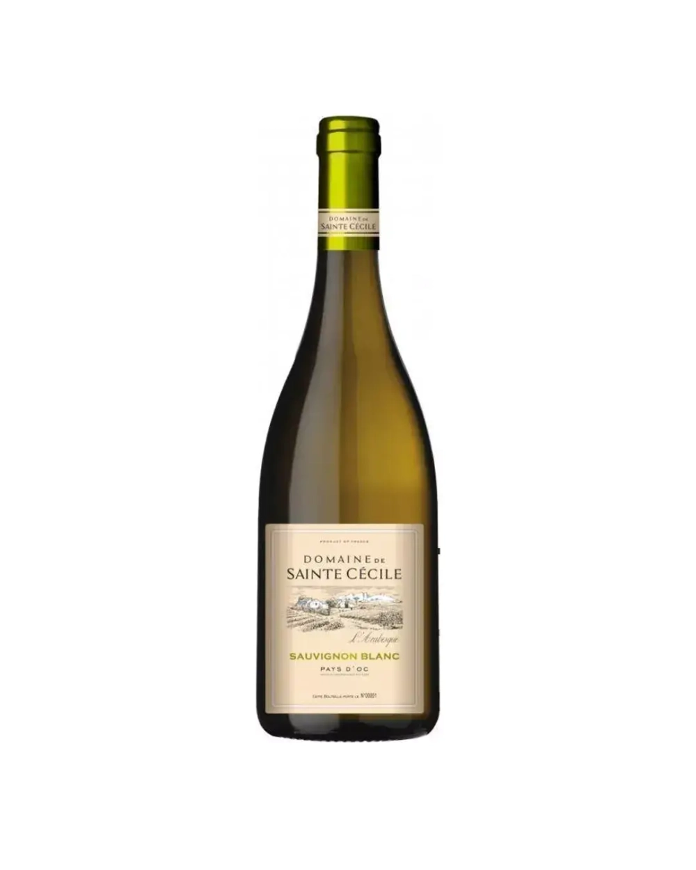 Domaine de Sainte Cécile Sauvignon Blanc