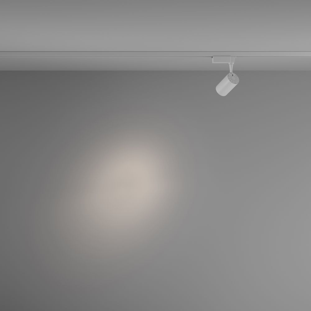 Трековый однофазный светодиодный светильник Maytoni Unity Vuoro TR003-1-6W4K-S-W