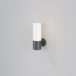 Уличный настенный светильник Outdoor O418WL-01GR