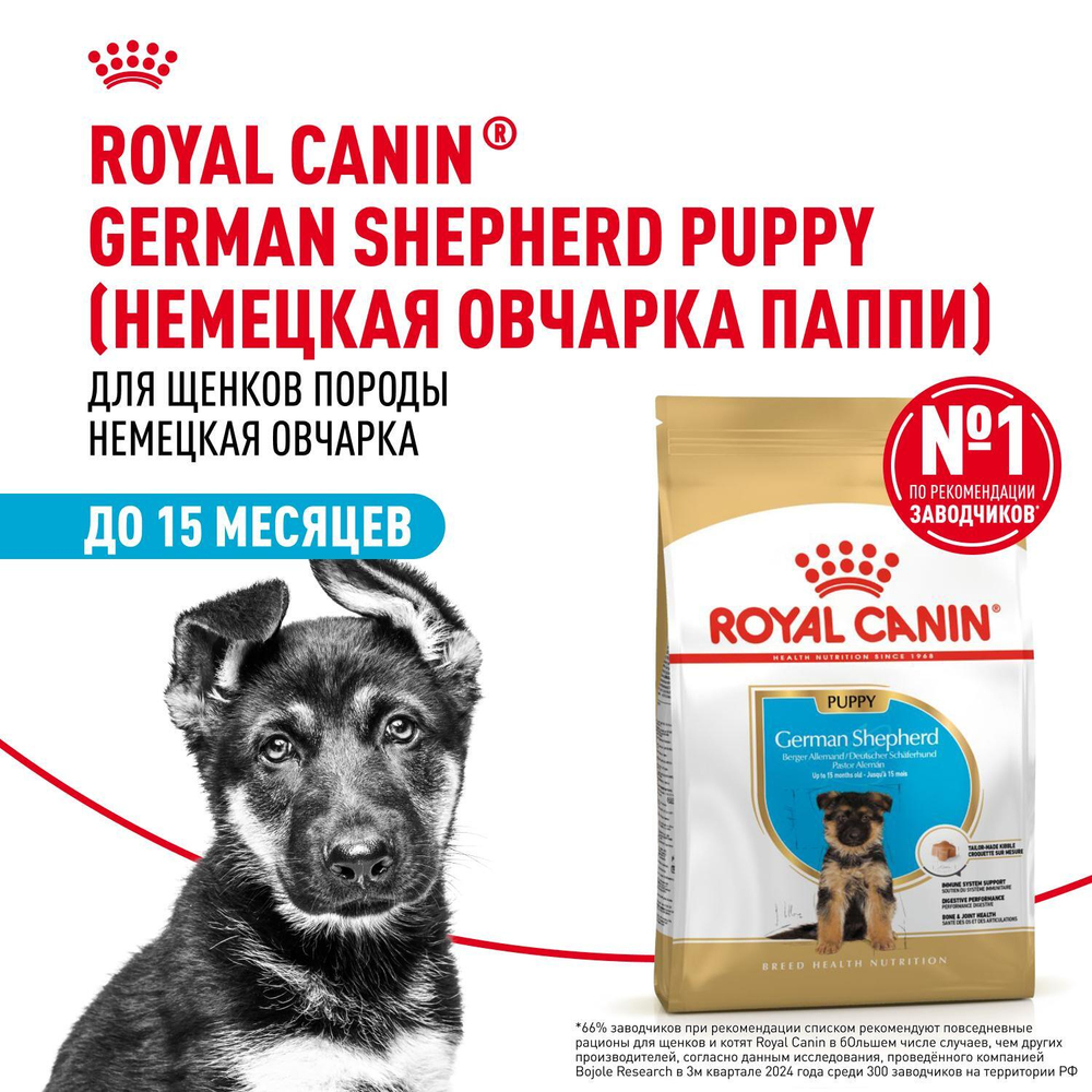 Royal Canin German Shepherd Puppy Корм сухой для щенков породы Немецкая овчарка до 15 месяцев 3 кг
