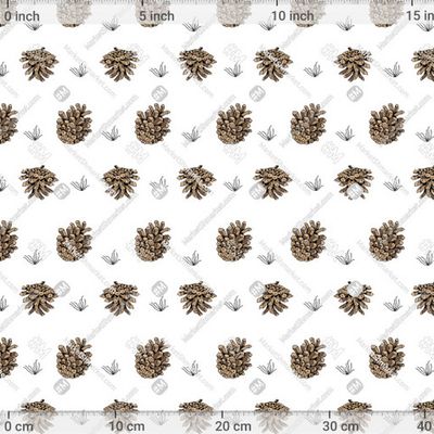 Сосновые шишки на белом фоне by tata_kutischeva 588 DPI