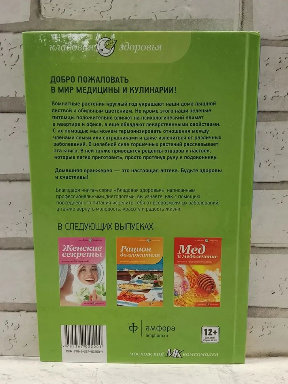Аптека на подоконнике. Домашние лекарственные растения