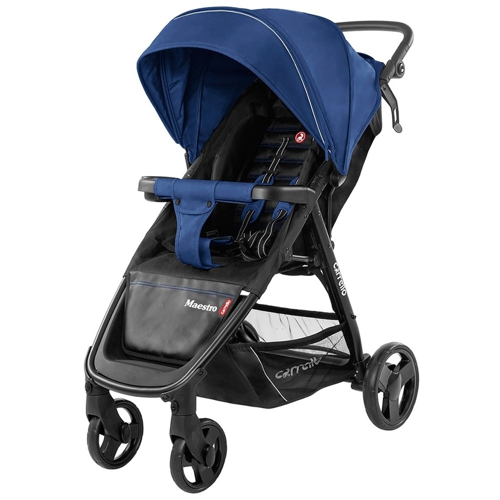 Коляска прогулочная CARRELLO Maestro CRL-1414