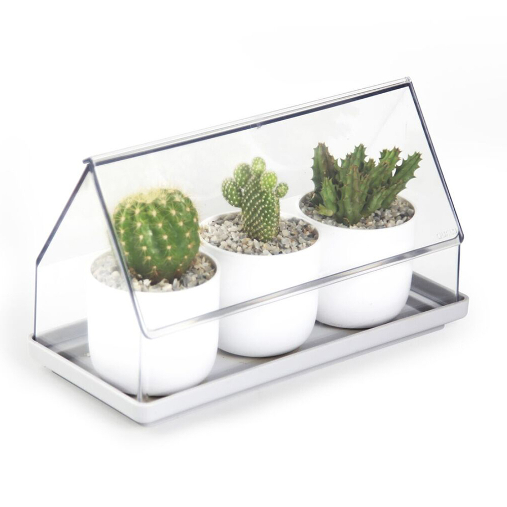 Лоток для выращивания растений micro green house, прозрачный