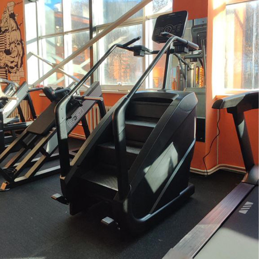 Тренажер-лестница TANGEN D8900