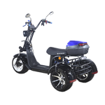 Электроскутер CityCoco Skyboard MyRussia (Маруся) BR60 3000W Trike