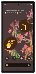 Смартфон Google Pixel 6 8/256GB, Stormy Black (Неистовый черный) (Японская версия)