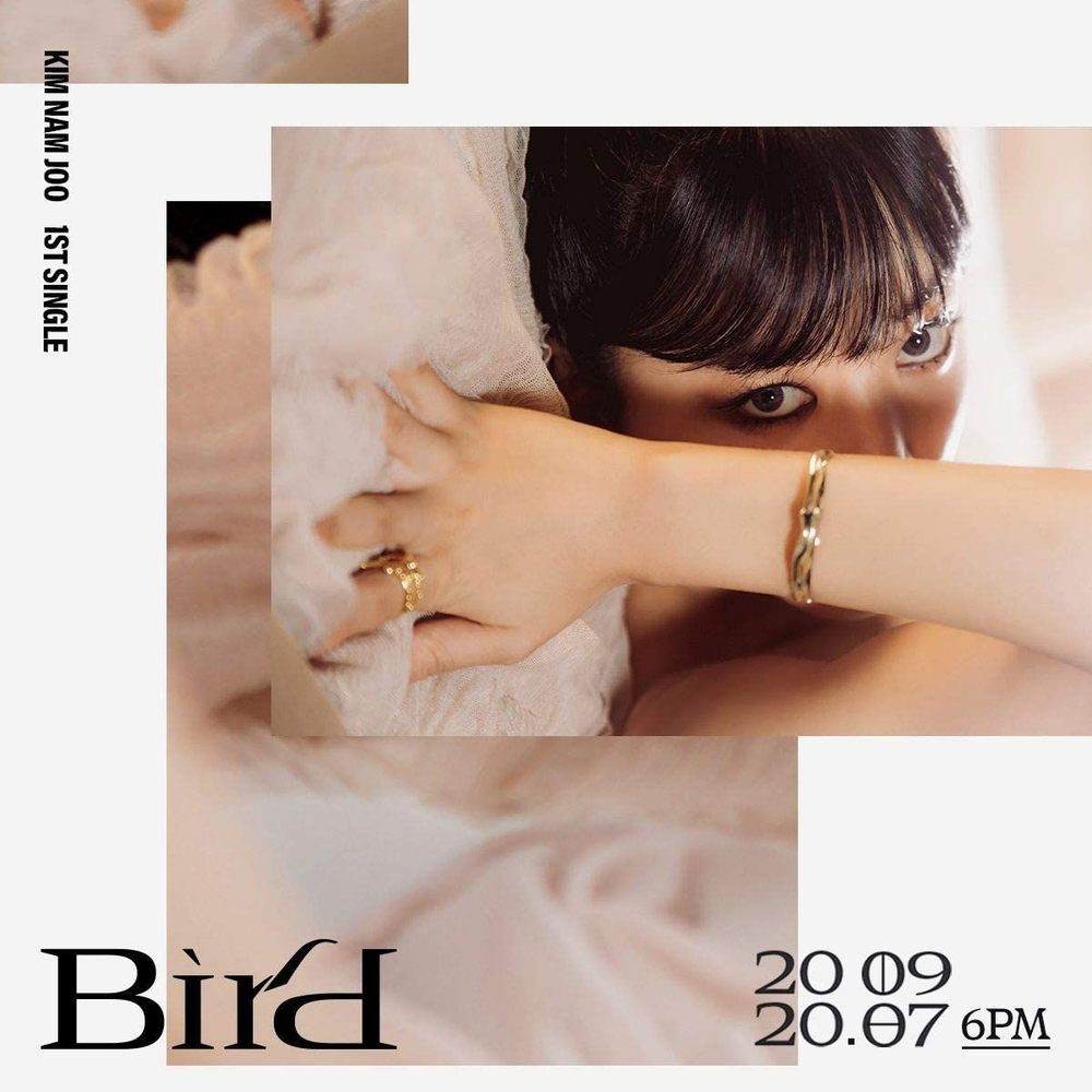 Альбом Kim Namjoo (Apink) - Bird 1st Single Album