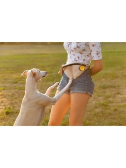 Сумка на пояс, сумка для лакомств собак