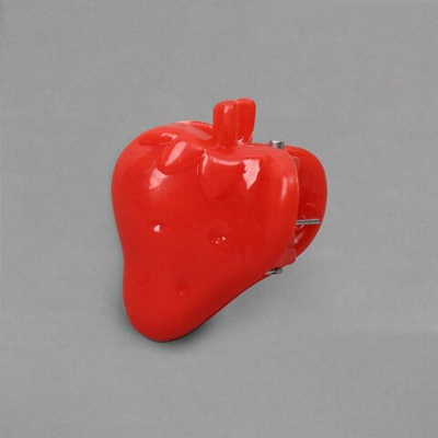 Набор из 10 клипс для растений «Клубника» (Цвет: разноцветный)