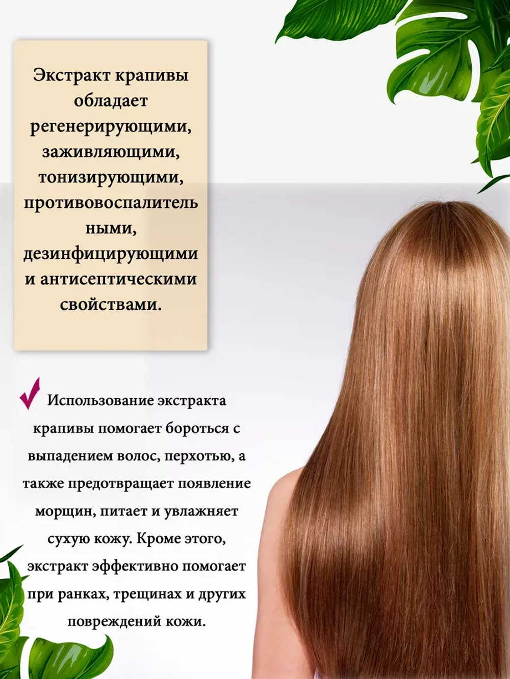 Экстракт крапивы, масляный