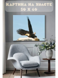Картина на стену 40 X 50 Орел