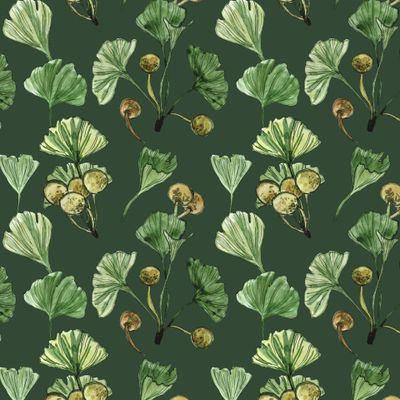 Гинкго билоба дизайн SIcolor