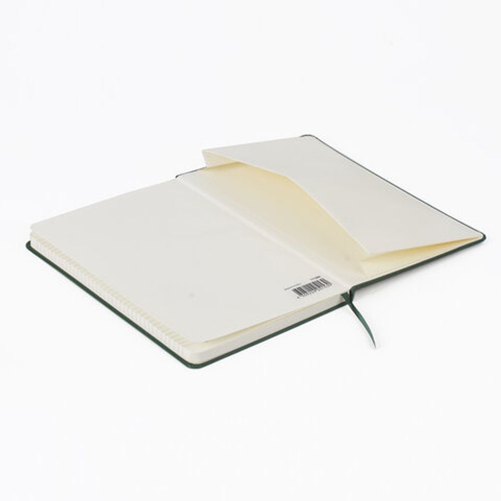 Блокнот в клетку с резинкой А5 (148x218 мм), 80 л., балакрон зеленый BRAUBERG "Metropolis", 111583