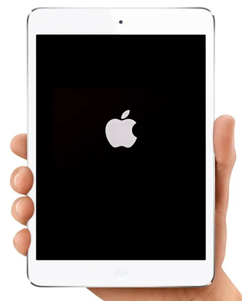 Восстановление ПО на iPad Air 4 2020